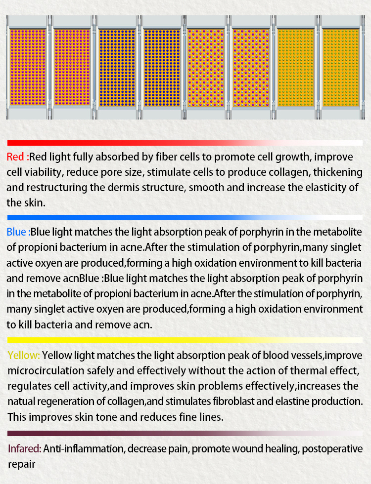 Photodynamic Therapy / Red Light Therapy / LED Light Therapy LED PDT