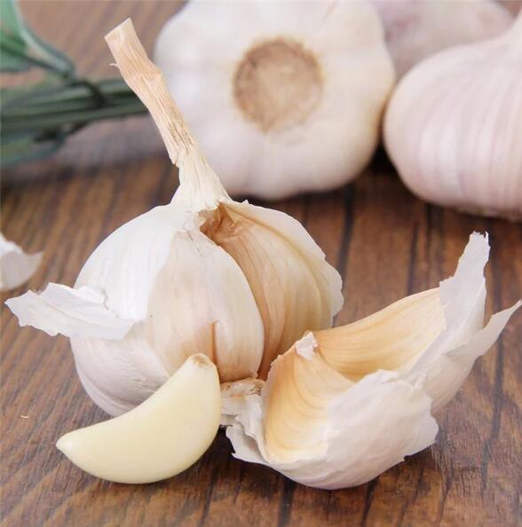2020 Normal White Purple Fresh Garlic/Alho/Ail/Ajo