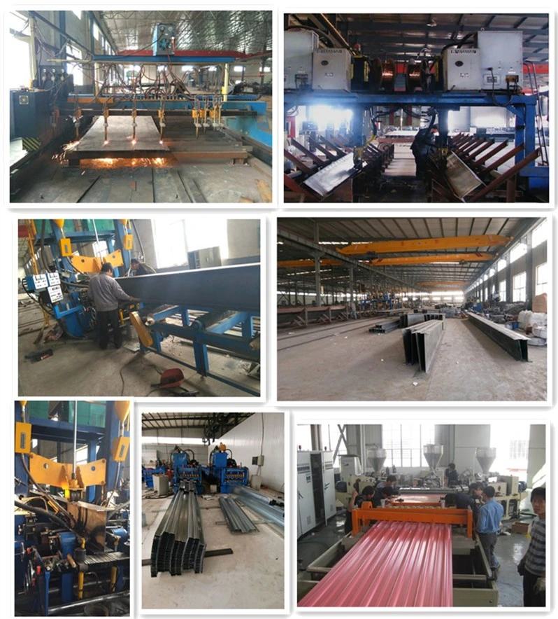 Standard Size Prefab/Prefabricated Steel Structure Frame Portable Cabin House and Building
