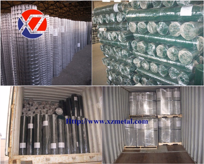 Heavy Gauge Dimension Galvanized/PVC Coated Welded Wire Mesh