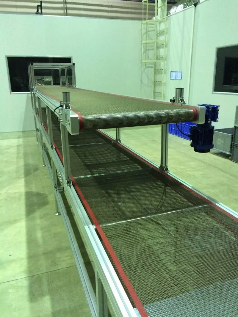 Plastic Stainless Steel 304 Wire Mesh Food Grade System Belt Conveyor