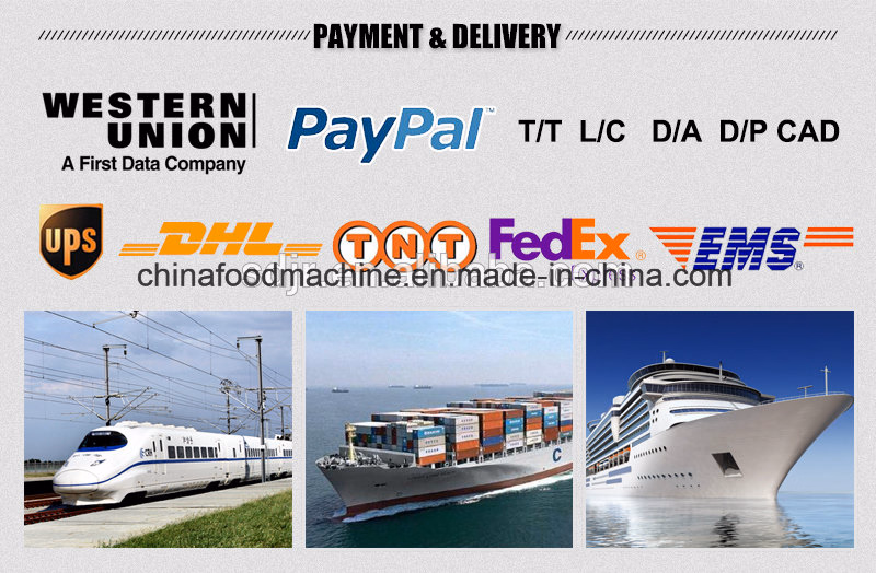 Food Industry Stainless Steel Spiral Wire Mesh Belt Conveyor