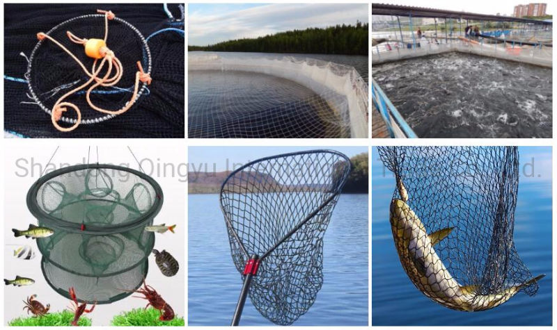 Professional Production Best Fishing Net/Fishing Tool/Nylon Net Trawl Fishing Net