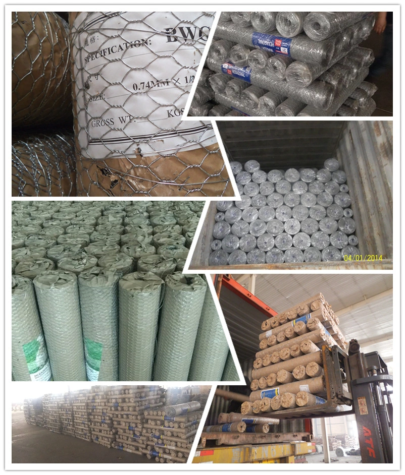 High Quality Chicken / Rabbit Mesh PVC Coated Galvanized Hexagonal Wire Netting