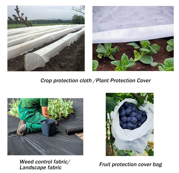 Anti-UV PP Spunbond Nonwoven Fabric for Ground Cover/Hard Pool Cover Above Ground