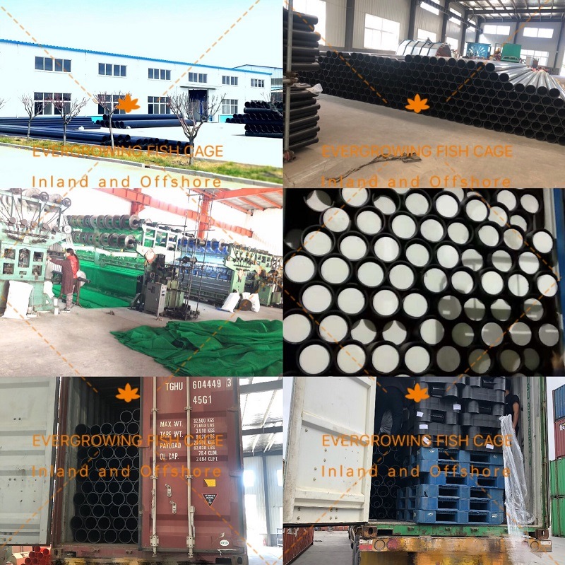 HDPE Floating Square Aquaculture Cage Fishing Net Cage