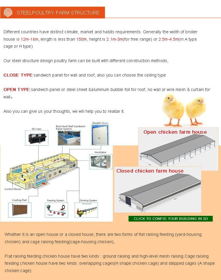 Different Types of Poultry House for 10000 Chickens