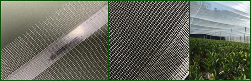 Agricultural Green House Shade Net for Green Sun Garden