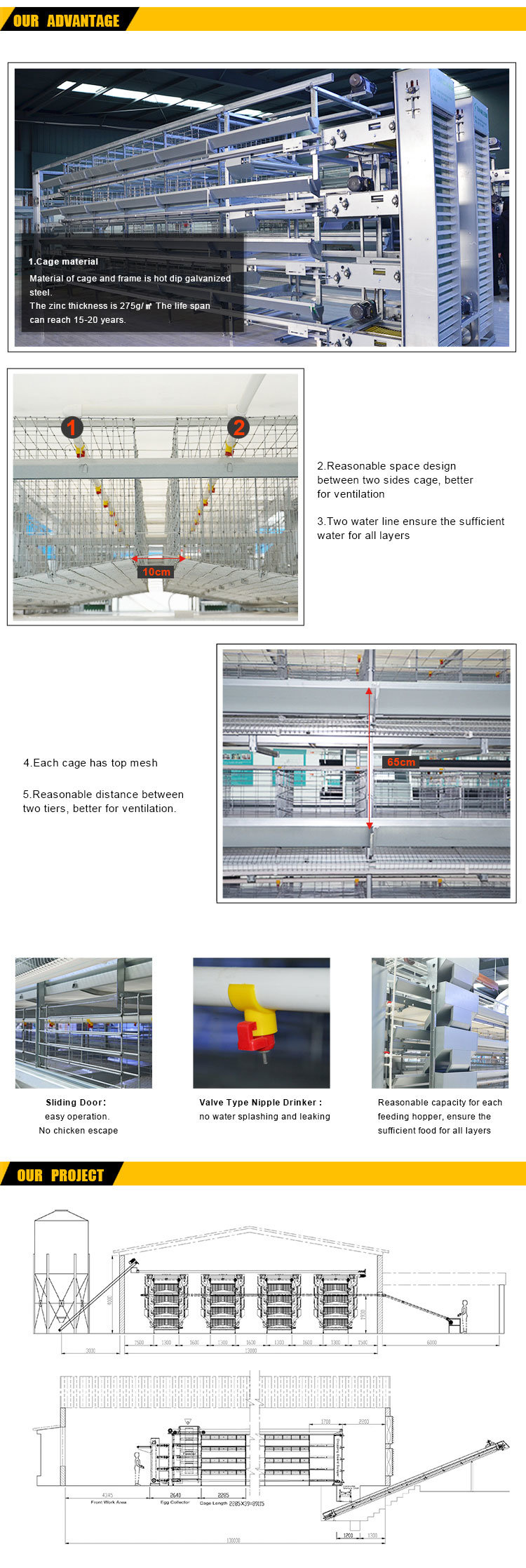 Chicken cage from China--Layer/ Broiler/ Pullet raising equipment