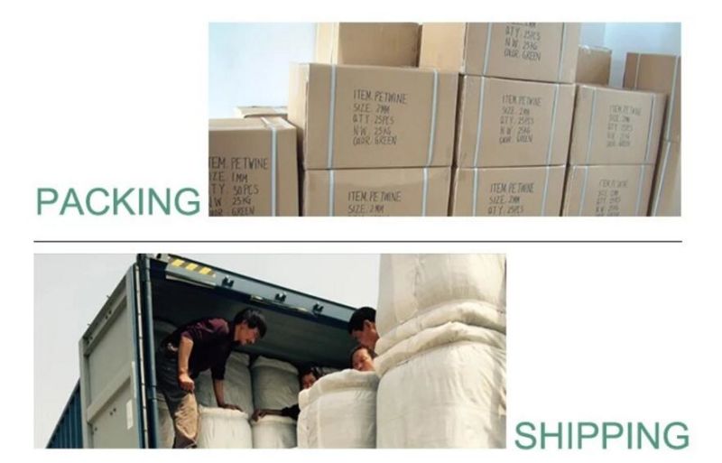Professional Production Nylon Polyester Twine Trawl Fishing Net