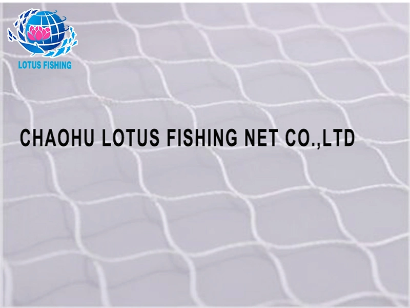 Made in China Bold Customizable Fishing Net Fishing Net