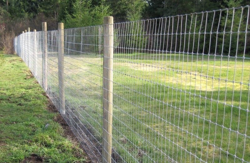 Field Fence/Grassland Fence for Raising Cattle/Sheep/Horse