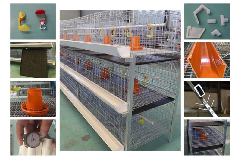 Brand New H Frame Feeding Cage for Broiler Chicken /Chicken Cage Broiler Equipment