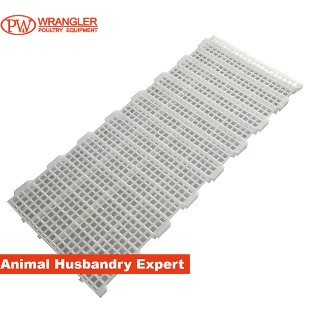 High Quality Chicken Floors, Plastic Slatted Flooring for Chickens Poultry Equipment Farming