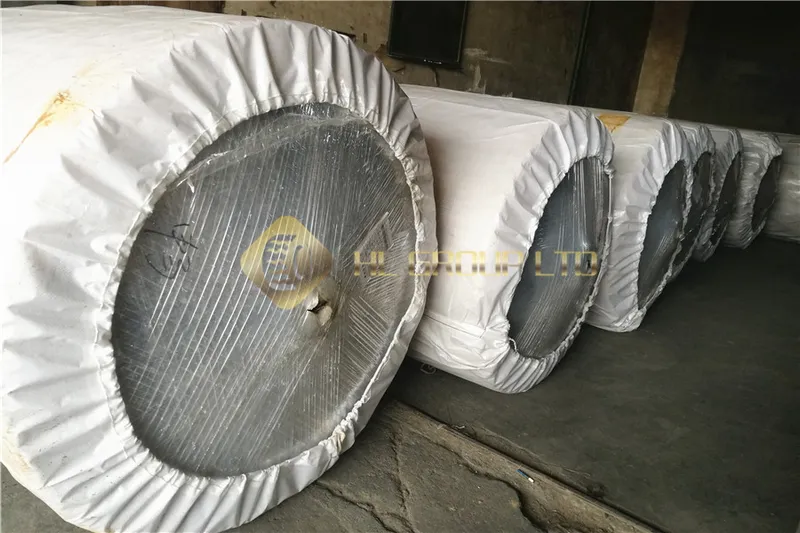 1000d/2 Polyester Dipped Tyre Cord Fabric for Tyres