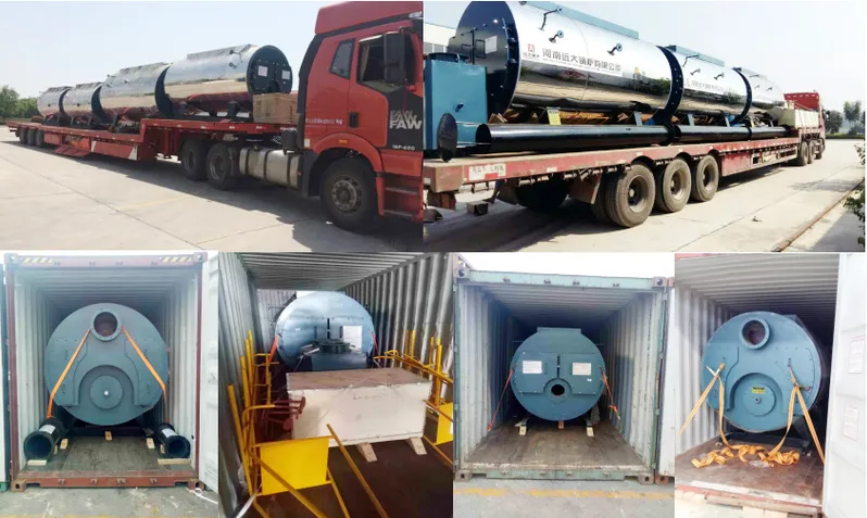 China Brand Gas Oil Fired Stream Broiler Price