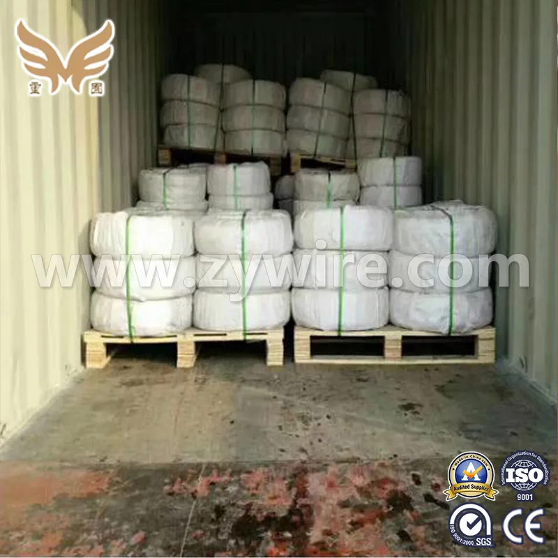 1X7 Galvanized Steel Wire Strand for Ground Wire