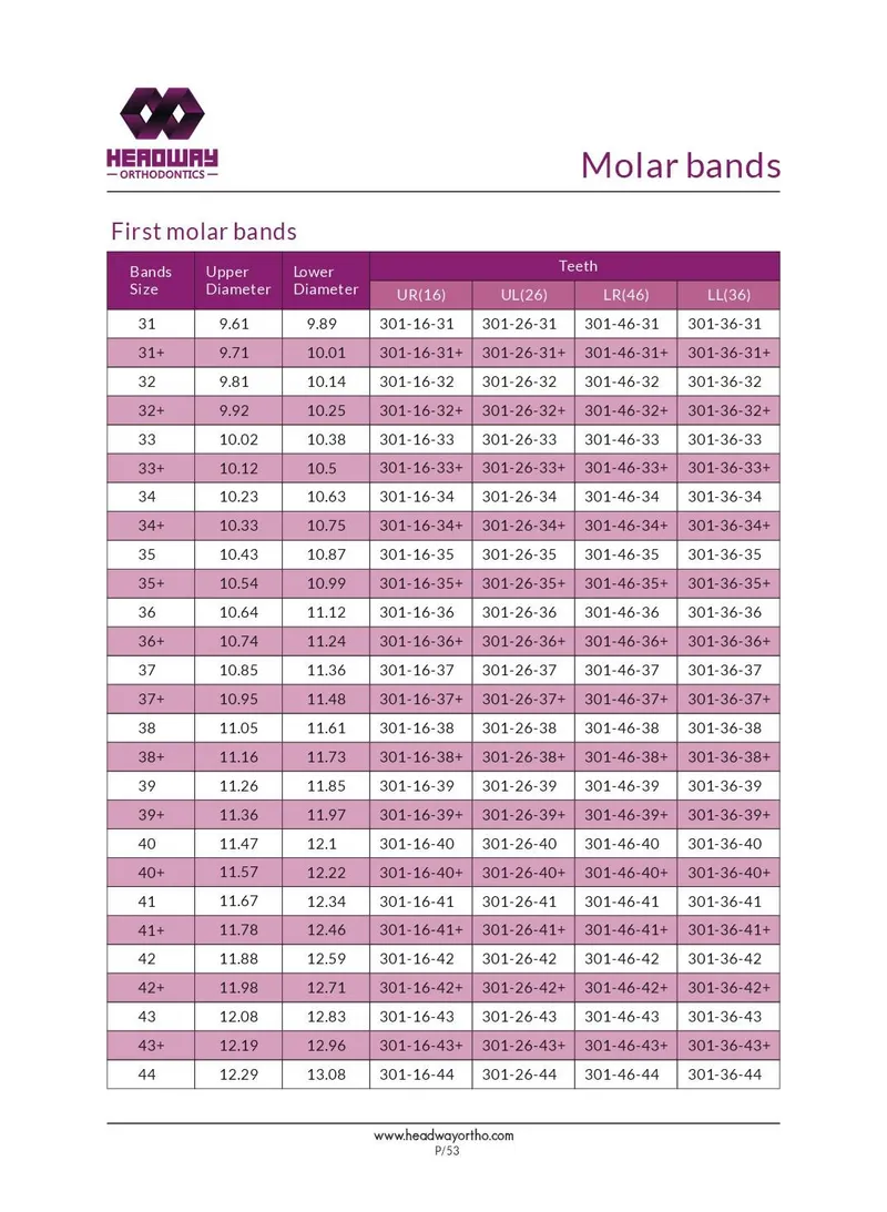 Orthodontic Band Series, First or Second Molar Bands