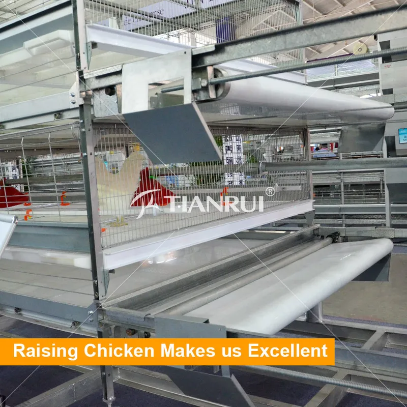 Fully automatic broiler cage chicken poultry farm equipment for Kenya