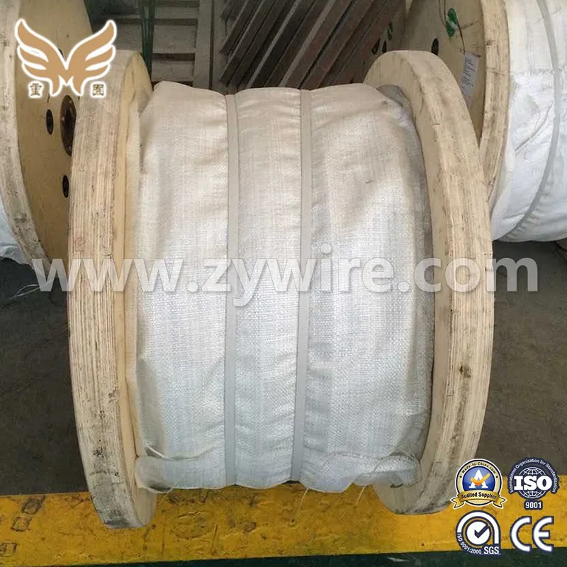 1X7 Galvanized Steel Wire Strand for Ground Wire