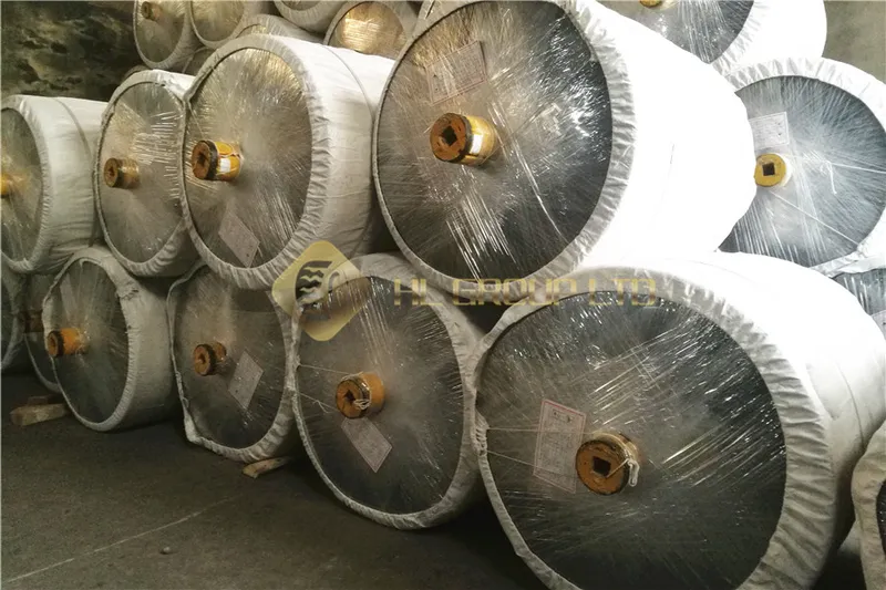 1000d/2 Polyester Dipped Tyre Cord Fabric for Tyres