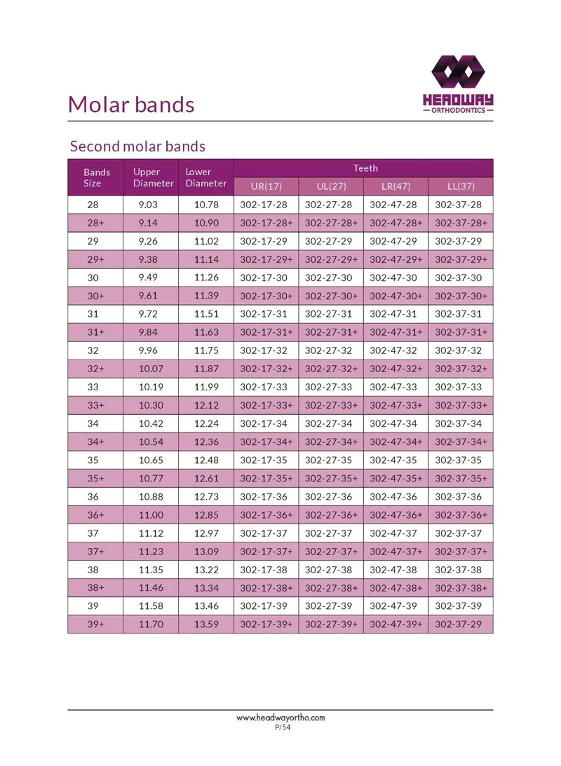 Orthodontic Band Series, First or Second Molar Bands