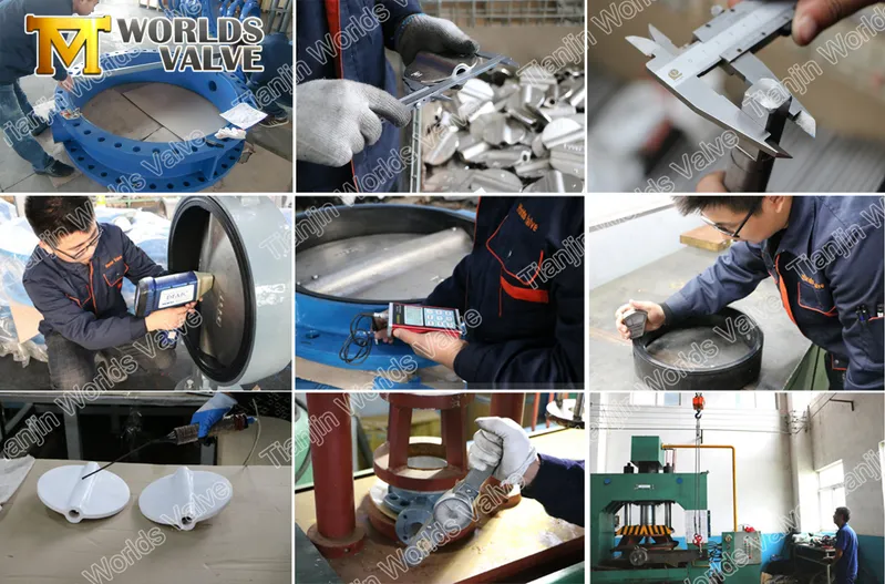 Ce ISO Butterfly Valve Manufacturer Factory in Tianjin China OEM ODM