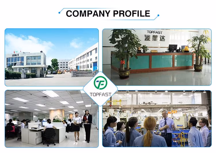 OEM Pcbassembly PCBA Manufacturer Service and PCB Manufacturer in China