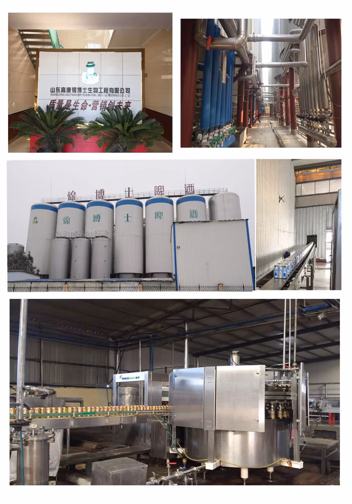 China 500ml Canned Beer Vendor Customized ODM OEM Service