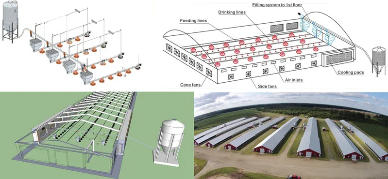 Chicken Breeder Farming Equipment for Poultry Farm