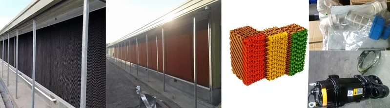 Chicken Breeder Farming Equipment for Poultry Farm