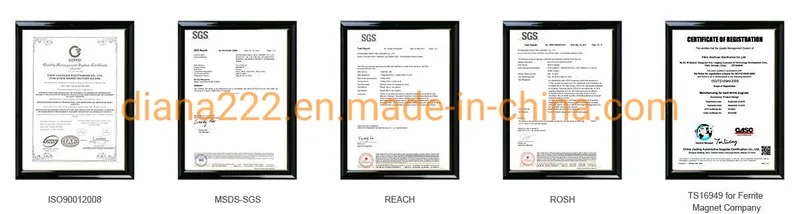 High Quality OEM ODM/OEM Manufacture Stator Rotor Magnets