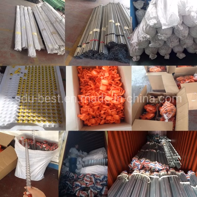 Chicken Breeder Farming Equipment for Poultry Farm