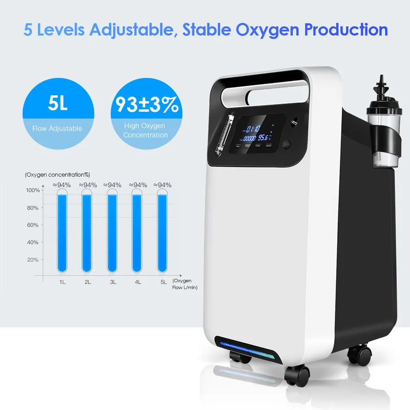 China Manufacturer Medical Oxygen Generator for 5L Hospital Oxygen Concentrator at 95%