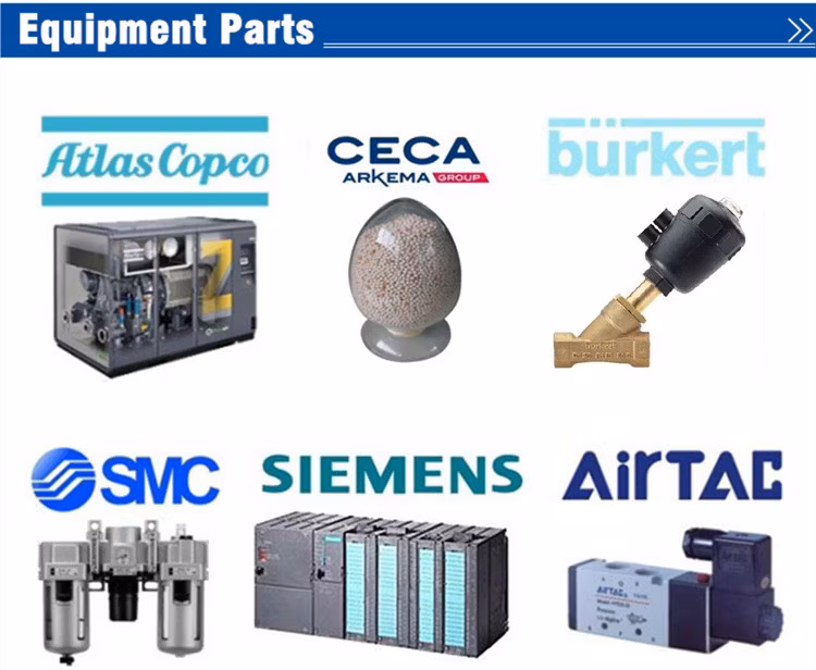 Industrial Psa Oxygen Generator (ISO, CE) with Filling Cylinder System for Free Oxygen Gas Offer