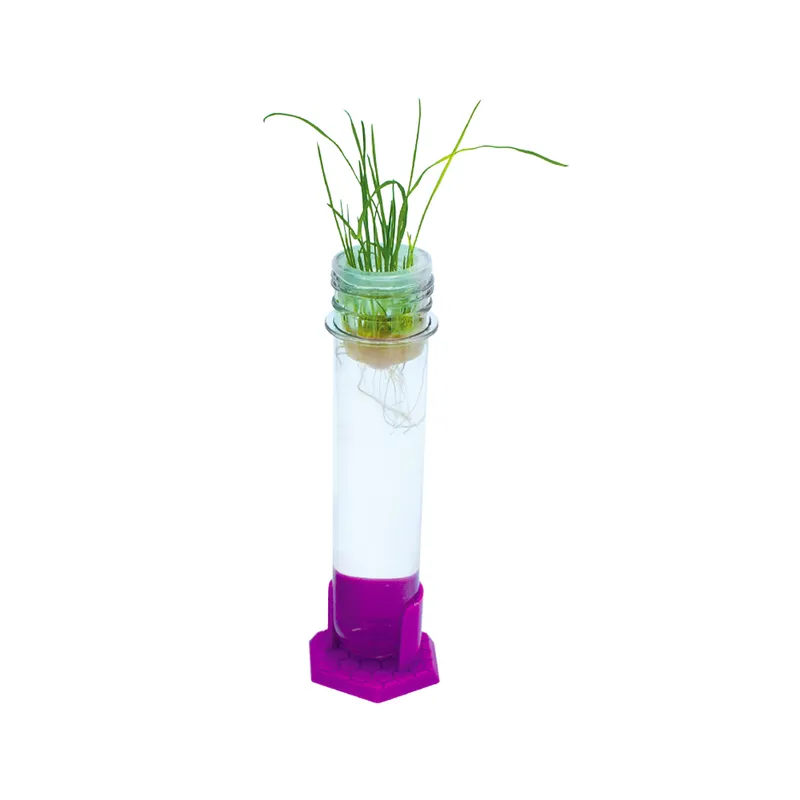 Plant Growing Science Toy Plant Science Toy Kit