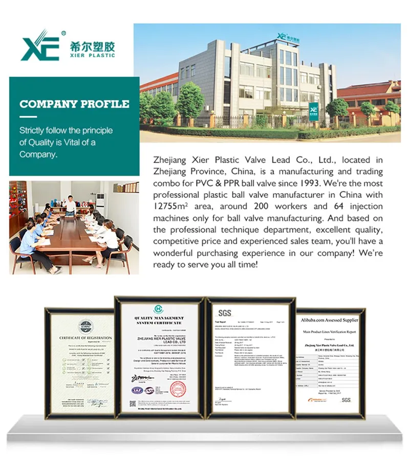 "Xe" China Aquaculture PVC 2 Pieces Ball Valve Ss201 Handle