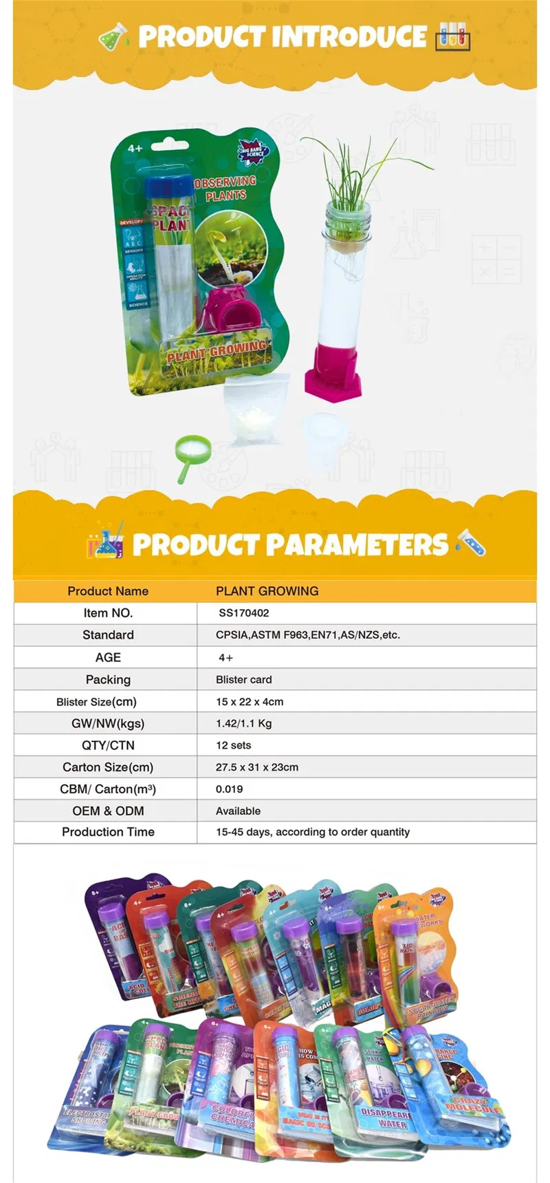 Plant Growing Science Toy Plant Science Toy Kit