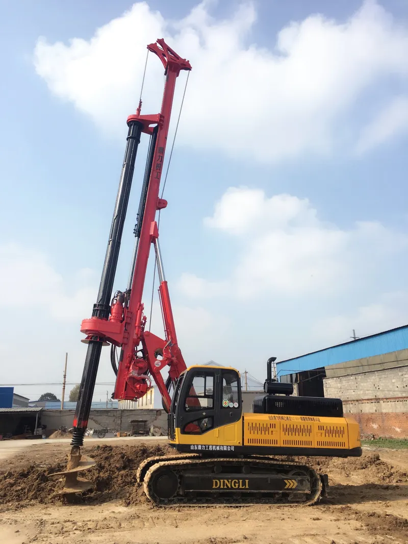 Crawler Crane for Sale Industrial Crane Motor Dr-100 Series Hydraulic Crawler Rig