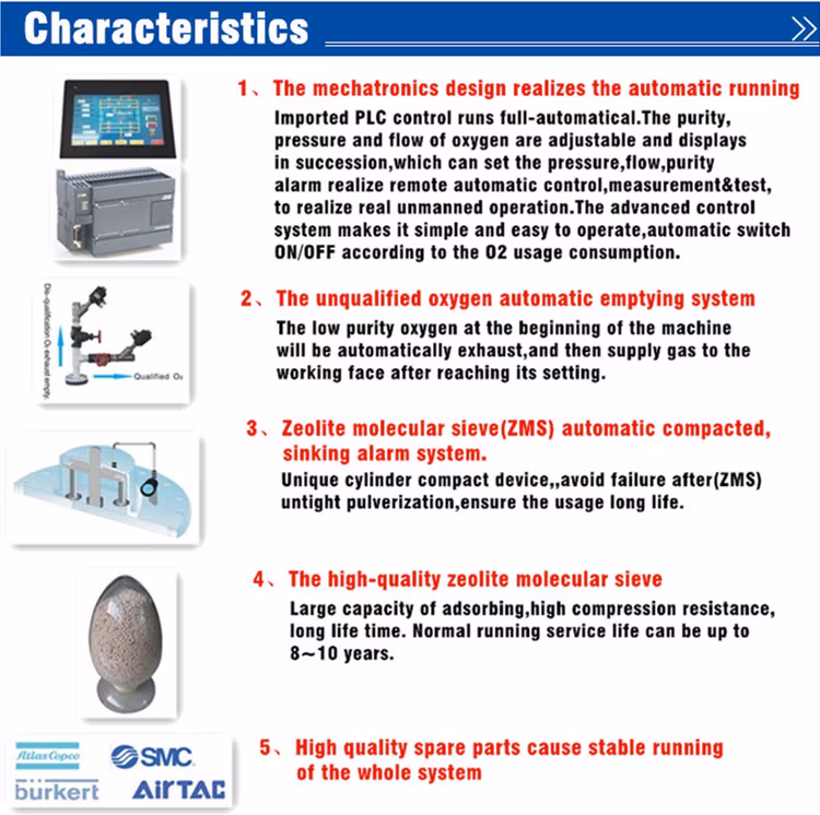 Industrial Psa Oxygen Generator (ISO, CE) with Filling Cylinder System for Free Oxygen Gas Offer