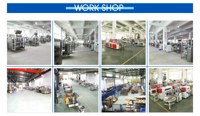 2020 China Fully Automatic Food Packaging/Package/Packaging Machine
