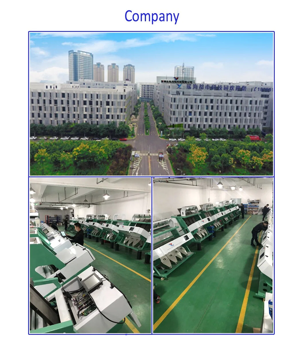 Nuts Color Sorter Nuts Sorting Machinery Nuts Processing Machine