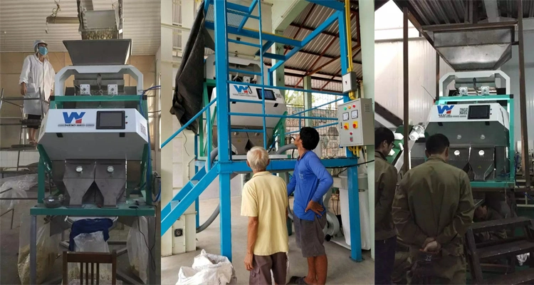 128 Channels Nuts Color Sorter Equipmentnut/Cashew Color Sorting Machine/ Pine Nuts Belt Color Sorter