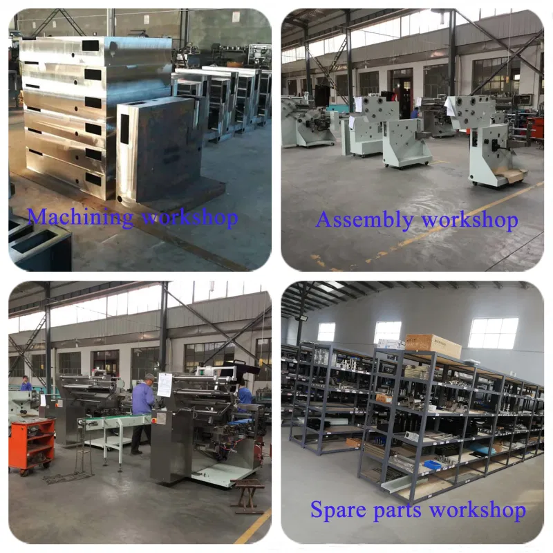 Food Packaging Equipment Manufacturers Horizontal Pouch Packaging Machine