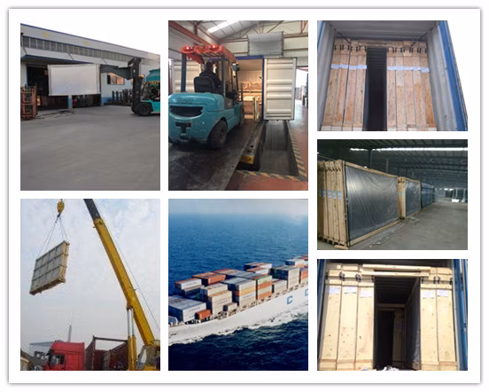 3-19mm Clear Tempered Glass/Safety Glass