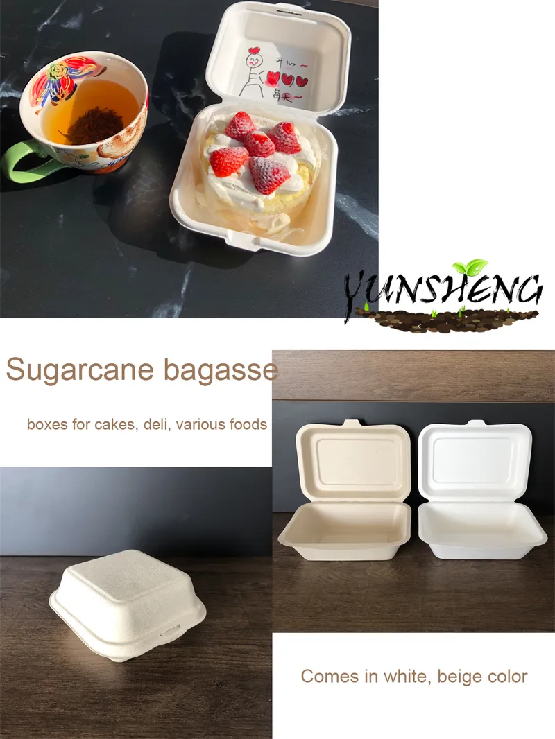 Biodegradable Food Packaging Containers Takeout Kraft Box