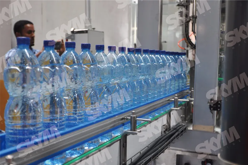 Ethiopia Water Factory Bottle Filling Machine with Bottle Blower