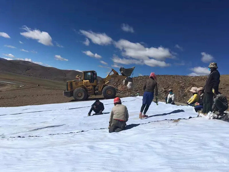 Non Woven Fabric Geotextile for Dam Polyethylene Landscape Fabric