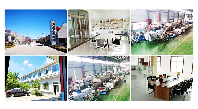 Jinan Dried Dog Food Machine Pet Food Extruder.