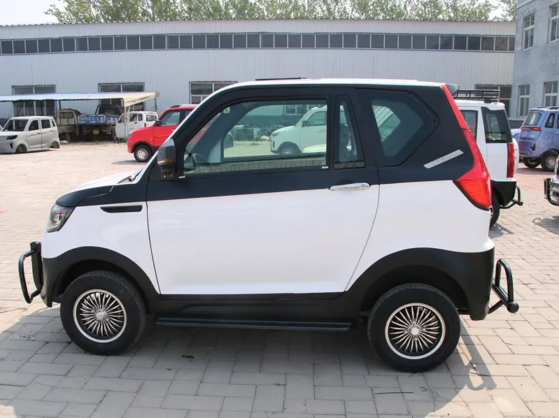 Popular New Energy Mini Electric Car for Family and Taxi